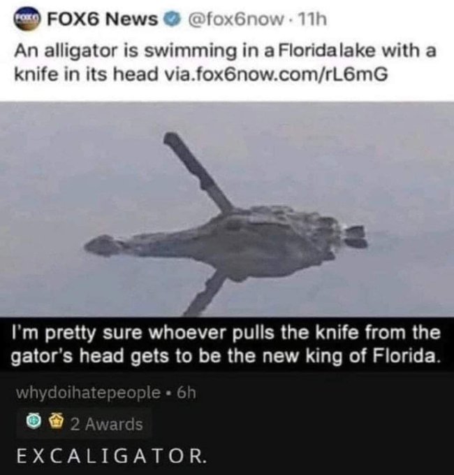 A FOX6 News tweet shows an aerial photo of an alligator swimming in a Florida lake with a knife stuck in its head, accompanied by a Reddit reply joking "I'm pretty sure whoever pulls the knife from the gator's head gets to be the new king of Florida," and a captioned pun "EXCALIGATOR."

The meme's absurd "Excaligator" sword-in-the-stone imagery ties loosely into the meme's forest theme, but it doesn't directly engage with the $BNKR crypto promotion—instead relying on viral absurdity to draw engagement.
