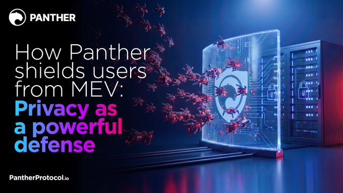 A promotional graphic for Panther Protocol titled 'How Panther shields users from MEV: Privacy as a powerful defense' features red ants attacking a blue shield on a server.