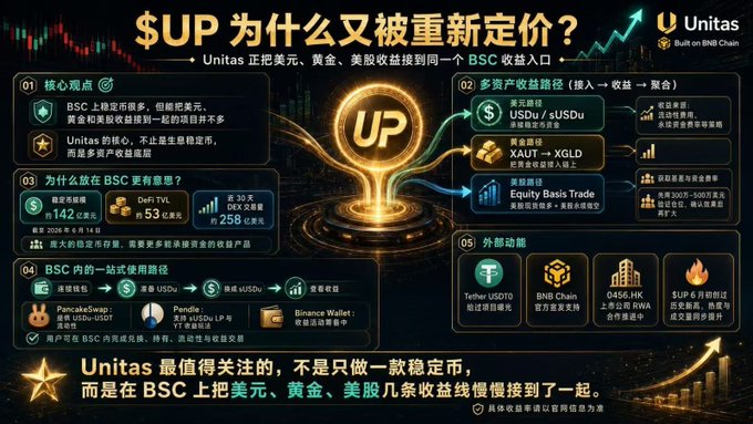 The image features a poster with a gold circle containing an upward-pointing arrow, which is labeled "UP" in both English and Chinese. The poster also includes text in both languages that reads "UnitasLabs BSC 上稳定币很多", "能把美元、黄金和美股收益接到一起的项目并不多 最近把它做的几件事连起来看", and "UnitasLabs BSC 上稳定币很多". The poster is displayed on a gray background, with the text in both English and Chinese.