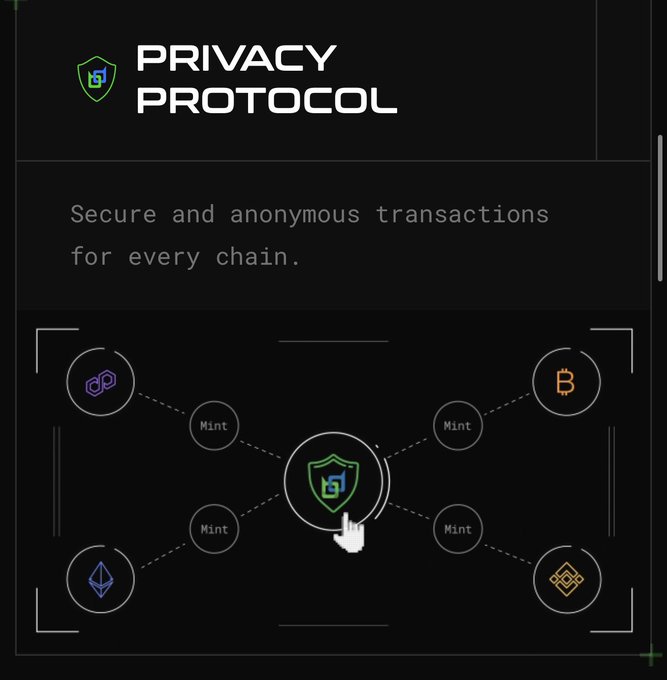 A graphic for "Privacy Protocol" with the tagline "Secure and anonymous transactions for every chain," showing a central shield icon connected via "Mint" pathways to various blockchain networks (including Bitcoin, Ethereum, and Binance). This visually illustrates Beldex's cross-chain privacy infrastructure, supporting the post's emphasis on securing transactions across multiple networks rather than just asset storage.