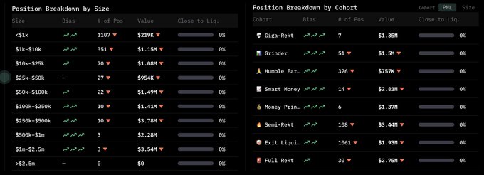Two tables titled 'Position Breakdown by Size' and 'Position Breakdown by Cohort' showing financial position data including '# of Pos' and 'Value' across various size brackets and cohorts like Giga-Rekt, Grinder, and Humble Ear.