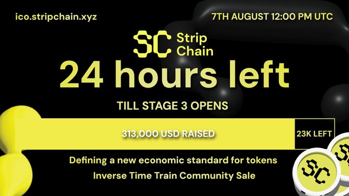 A promotional banner for 'Strip Chain' ICO at ico.stripchain.xyz announcing '24 hours left TILL STAGE 3 OPENS' on 7th August 12:00 PM UTC, showing $313,000 USD raised with 23K left, featuring yellow $C token coins.