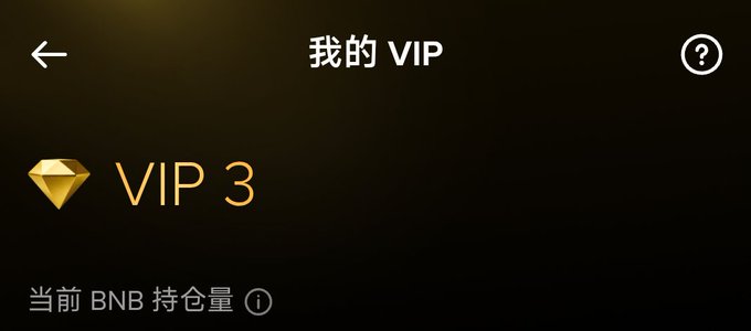 A screenshot of a VIP membership page showing "VIP 3" status with a diamond icon, titled "我的 VIP" (My VIP) and displaying "当前 BNB 持仓量" (Current BNB Holdings).