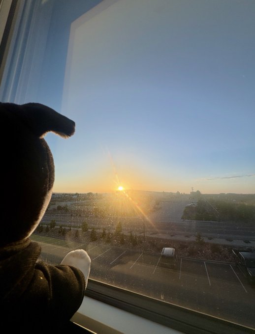The image shows a cat sitting by a window, looking out at the sunset. The cat appears to be wearing a hat or a black top hat, adding a whimsical touch to the scene. The setting sun casts a warm glow over the landscape outside the window, creating a serene and peaceful atmosphere. The photo captures the essence of the moment as the cat enjoys its view from the comfort of its home.
