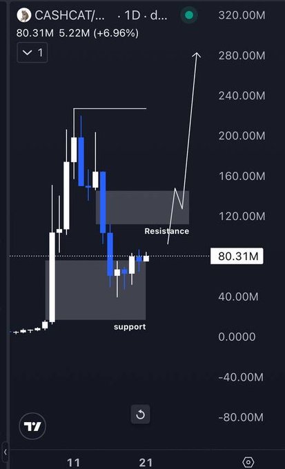 A daily candlestick chart of $CASHCAT shows the token currently at 80.31M with a 6.96% gain, consolidating between a marked support zone around 40-60M and a resistance zone near 120-160M, with an arrow indicating a potential breakout toward 280M+ and new all-time highs.