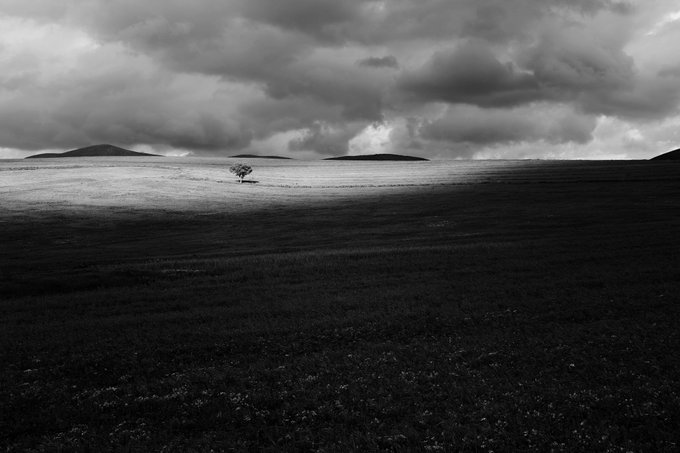 A black and white moody landscape photograph showing a lone tree standing in an open plain beneath dramatic stormy clouds, with distant mountains on the horizon.