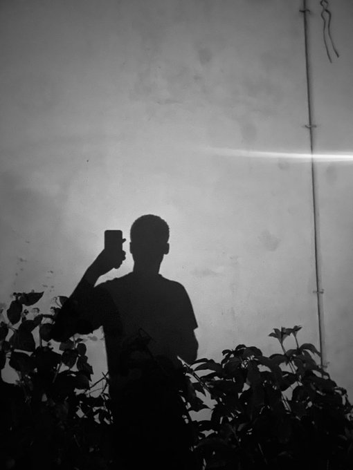 A black and white silhouette of a person taking a mirror selfie with a phone, surrounded by a bright ring flash.