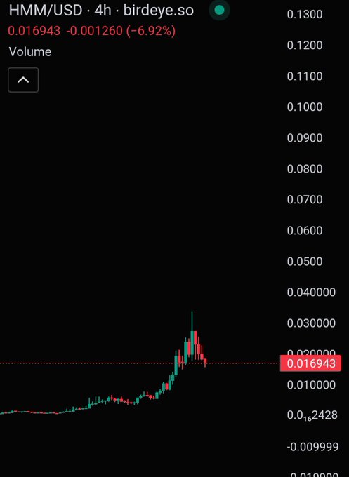 A birdeye.so candlestick chart for HMM/USD over 4 hours showing a price decline of -6.92% to 0.016943, with visible price levels ranging from approximately -0.01 to 0.1300.
