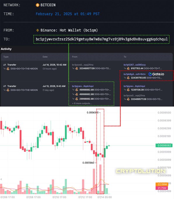 Cryptocurrency transaction record on the Bitcoin network showing a transfer from 'Binance: Hot Wallet (bc1qm)' to address 'bc1pjywrxfrsr25dk19gmtuy8w7w8a7mg7vz0j89v3g6d0x8suvgg6qdchqul' on February 21, 2025, with a DOG-GO-TO-THE-MOON transfer history and price chart.