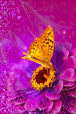 A vibrant, colorful image features an orange butterfly perched on a bright purple and pink flower with sparkling particle effects in the background.