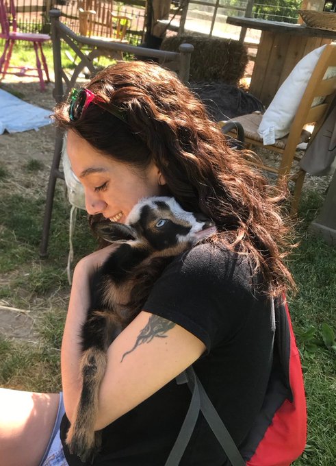 The image features a woman sitting outdoors, holding a small goat or lamb close to her face. The goat appears to be quite cute and is being held by the woman who seems to be enjoying the moment. In the background, there are chairs and dining tables, suggesting that this scene might take place in an outdoor setting like a park or a similar location where people can relax and enjoy their time.