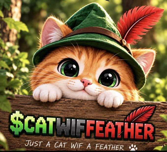 A digital illustration features an adorable orange and white kitten with large green eyes peeking over a wooden sign, wearing a green Robin Hood-style hat adorned with a red feather. The sign displays the text "$CATWIFFEATHER" in pixelated green and red lettering, with "JUST A CAT WIF A FEATHER" written below and a paw print logo, visually embodying the meme coin's concept referenced in the accompanying post.