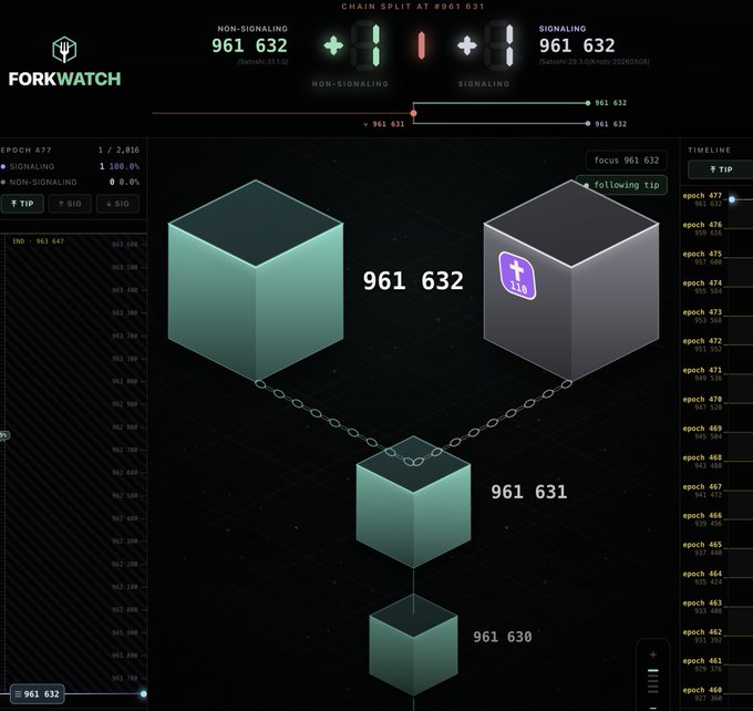 Screenshot of the ForkWatch blockchain visualization interface showing a chain split at block #961,631 with 3D cube representations of blocks 961,630, 961,631, and 961,632.