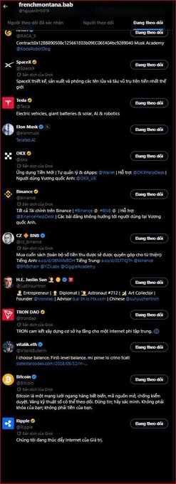 A screenshot of a Twitter/X Following feed showing various followed users including SpaceX, Tesla, Binance, MrBeast, and others with Vietnamese text.