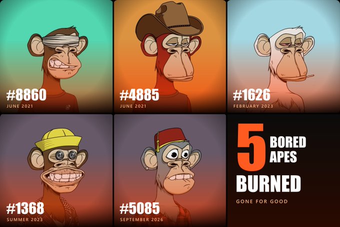 The image displays five permanently destroyed Bored Ape NFTs arranged in a grid, each labeled with their token number (#8860, #4885, #1626, #1368, and #5085) and the date they were burned, alongside text declaring "5 BORED APES BURNED - GONE FOR GOOD." The visual commemorates the loss of these rare digital collectibles, including BAYC #5085 which was burned "for fun," marking the fifth such intentional destruction of a Bored Ape NFT.