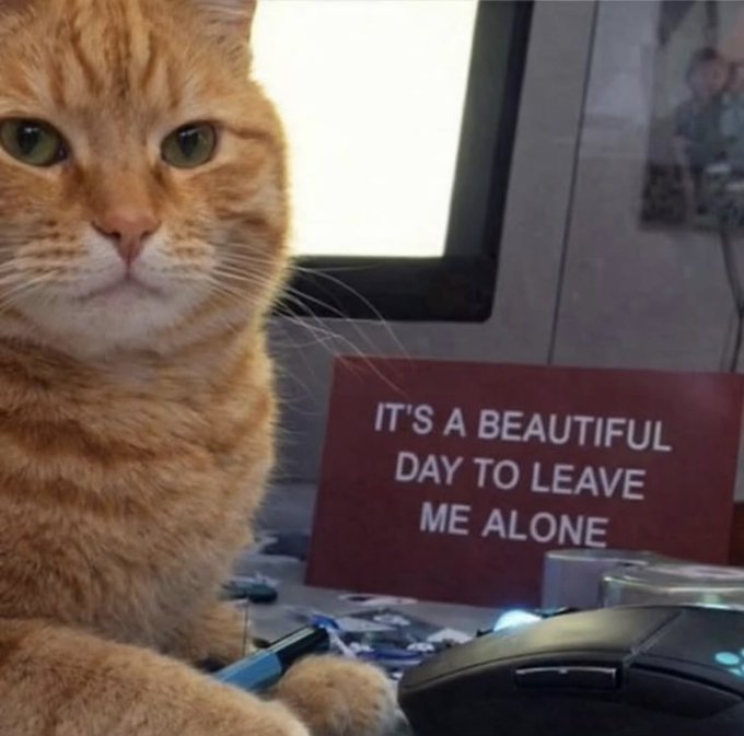 An orange tabby cat sits at a cluttered desk with a red sign reading "IT'S A BEAUTIFUL DAY TO LEAVE ME ALONE," capturing the feline's irritated expression as it gives a disapproving side-eye to whoever is bothering it—much like the cat would react to an unsolicited tip about buying Litecoin from a stranger at a bar.