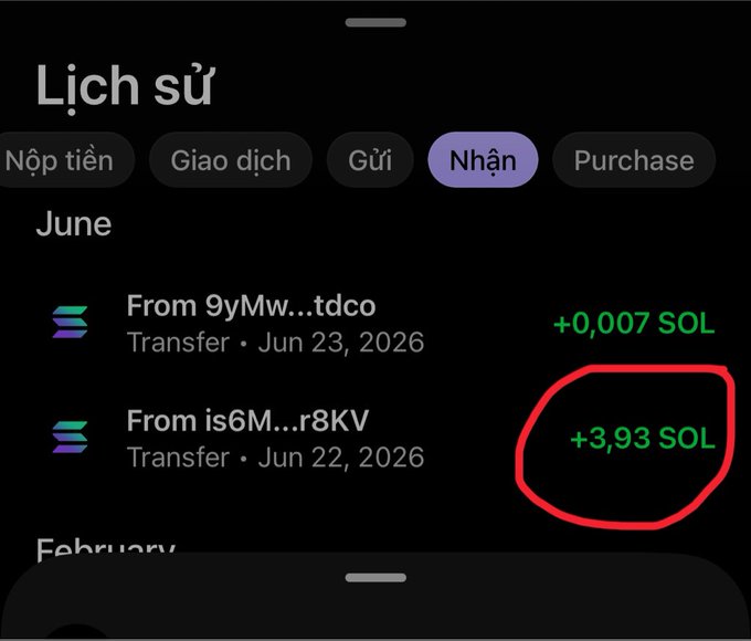 A transaction history screen titled 'Lịch sử' showing two Solana (SOL) transfers of +0.007 SOL and +3.93 SOL, with the larger amount circled in red.