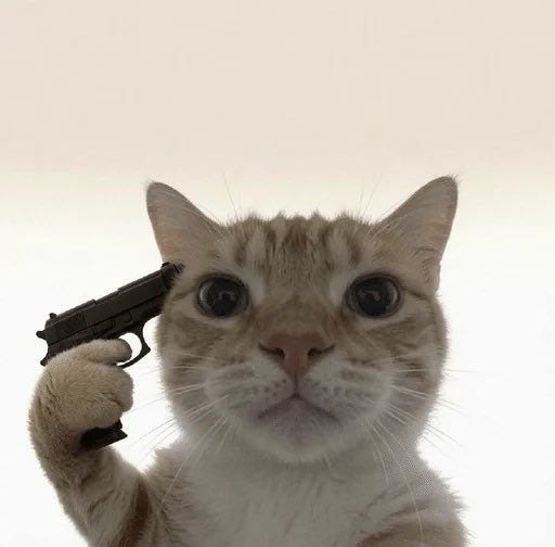 A close-up photo of an orange tabby cat with wide eyes holding a black handgun against its head with its paw, creating a humorous meme-style image.