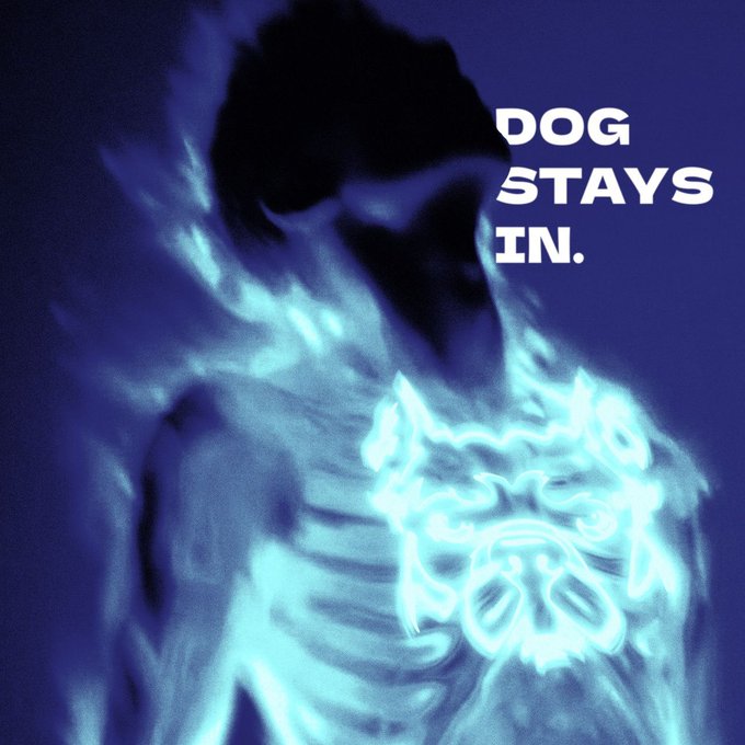 A glowing blue X-ray of a human torso shows a bright bulldog skeleton visible inside the chest, with the text "DOG STAYS IN." displayed in the upper right, visually reinforcing the "$DOGINME" phrase by literally showing a dog residing inside the body.