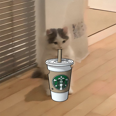 A gray and white cat sits on a wooden floor holding/nuzzling a Starbucks cup with its paws, with the iconic green Starbucks siren logo clearly visible on the cup. The image humorously depicts "Chickie" enjoying a coffee break, playfully tying into the meme theme of $MICHI being relatable for every situation—even a cute cat's Starbucks moment.