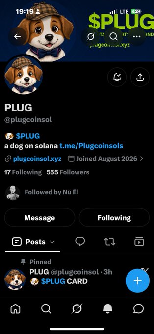 A mobile screenshot of an X (formerly Twitter) profile for a user named 'PLUG' (@plugcoinsol), showing 17 Following and 555 Followers, with a dog avatar and a pinned post mentioning '$PLUG CARD'.