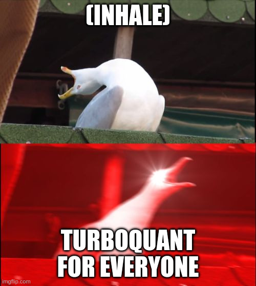 The image shows a bird with its beak open, possibly imitating a human's laughter or expressing excitement. The bird appears to be making a funny face as if it were trying to entertain someone. Below the bird photo, there is text that reads " TurboQuant for everyone". This phrase suggests that the image might have been taken by someone who wanted to share their humorous moment with others using the image of the bird and its expression.