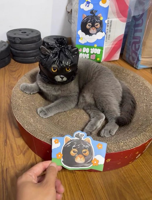 A gray cat wearing a black plastic bag "mask" is photographed next to its cardboard cutout likeness and matching product packaging labeled "DO YOU LOVE ME?" for the meme-themed Arc browser launch, humorously styled like a celebrity endorsement photoshoot.
