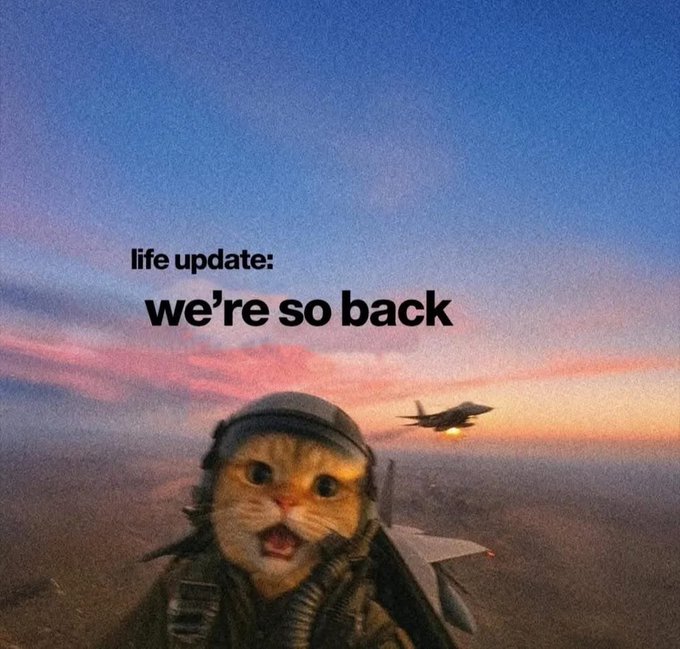 A meme features a wide-eyed cat wearing a fighter pilot helmet in front of a sunset sky with a jet in the background, overlaid with the text "life update: we're so back." The triumphant, victorious imagery ties into the post celebrating Solana hitting 3 digits in price.