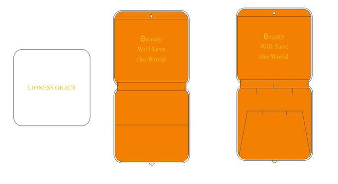The image shows three packaging design mockups—a small white box with "LIONESS GRACE" text and two orange box designs featuring the phrase "Beauty Will Save the World"—aligning with the creator's ongoing work on Bitcoin-themed designs with beauty-focused branding.
