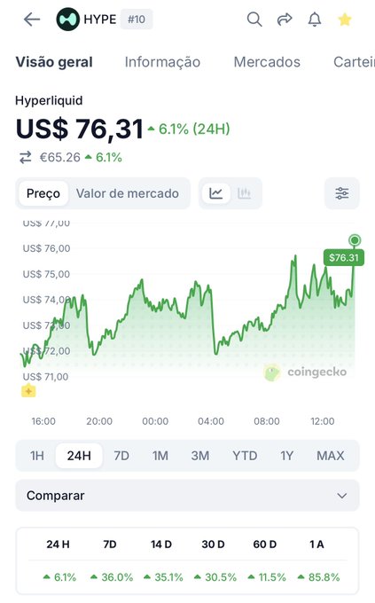A CoinGecko app screenshot showing Hyperliquid (HYPE) token at US$76.31, up 6.1% over 24 hours, with a 24-hour price chart and gains across all timeframes including 1Y (+85.8%).