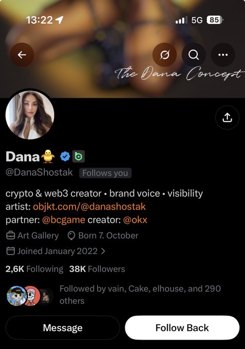 A Twitter/X profile for "Dana" (@DanaShostak) with 38K followers, describing herself as a "crypto & web3 creator • brand voice • visibility artist" with links to objkt.com, @bcgame, and @okx.