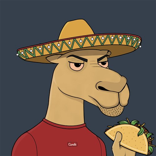 A cartoon-style portrait of a llama with a skeptical expression, wearing a traditional yellow sombrero and a red shirt, while holding a taco; a small label on the shirt reads 'Camel'.