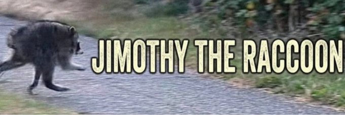 A raccoon walks along a paved path beside grass and foliage, with the bold text "JIMOTHY THE RACCOOON" displayed across the image—serving as a custom banner for the Solana meme token $Jimothy on Moby.