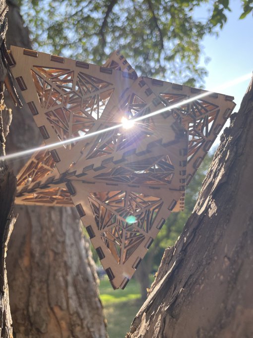 A geometric wooden structure, composed of interlocking star shapes, is mounted between two tree trunks with sunlight shining brightly through its center.
