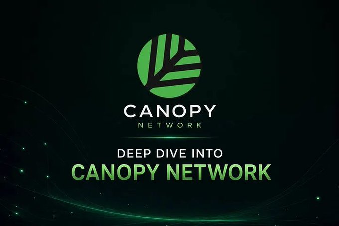A 'DEEP DIVE INTO CANOPY NETWORK' promotional graphic featuring a green leaf-themed logo on a dark background with green light streaks.