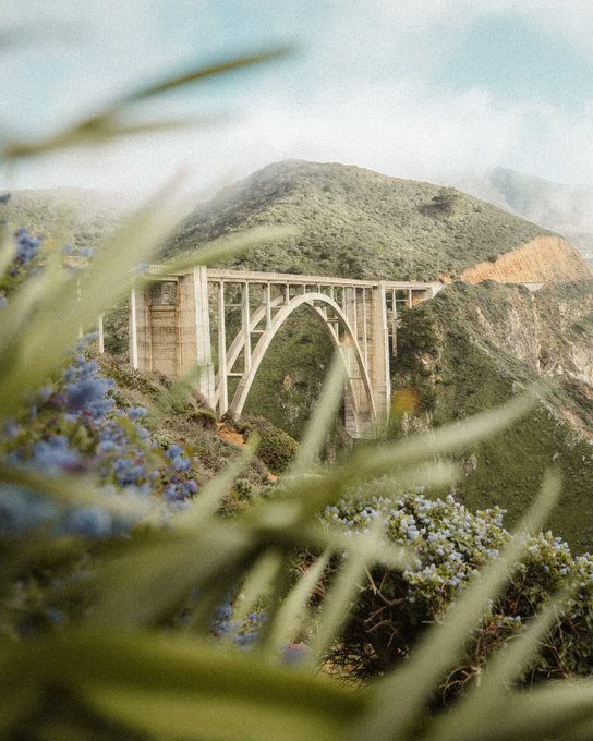Bixby Creek Bridge arches gracefully through a misty Big Sur coastline, framed by soft coastal foliage and purple wildflowers in the foreground. The serene, cinematic landscape doesn't directly relate to the $80 bid acknowledgment, but it serves as a beautiful, evocative image for the post.