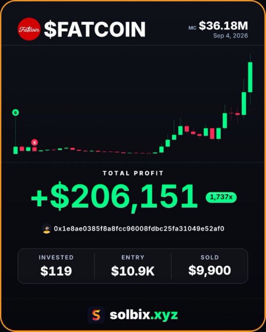 The image is a promotional graphic from solbix.xyz showcasing a trading win on $FATCOIN, displaying a candlestick chart alongside metrics: a $119 investment turned into $206,151 total profit (1,737x return), with entry at $10.9K market cap and sold at $9,900, mirroring the post's claim of sniping $FATCOIN at an $11K market cap for a massive gain.