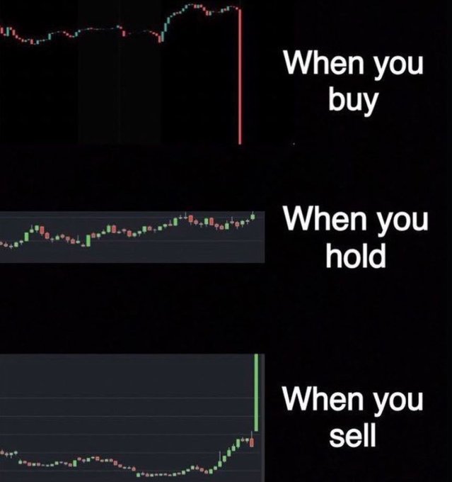The image humorously depicts the common investor experience with stock charts: prices often drop right after buying, stabilize when held, and then surge just as you decide to sell. This perfectly illustrates the sentiment of the post: "Buy the dip. Watch it drip."