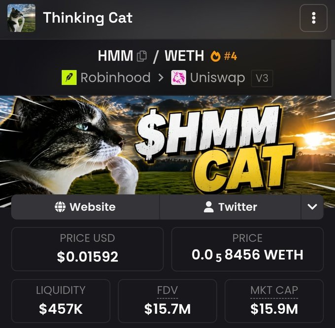 A webpage screenshot for 'Thinking Cat' showing a meme-style image of a cat with '$HMM CAT' text, alongside crypto metrics: PRICE USD $0.01592, PRICE 0.0₅8456 WETH, LIQUIDITY $457K, FDV $15.7M, and MKT CAP $15.9M, with a trading pair link from Robinhood to Uniswap V3.