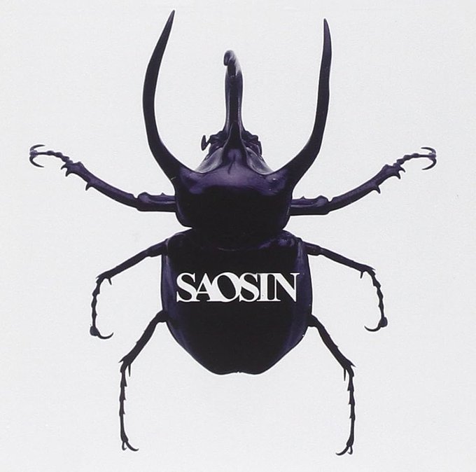 Album cover artwork featuring a black beetle silhouette on a light background with the text 'SAOSIN' in white across its body.