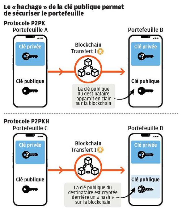 A French-language infographic titled 'Le « hachage » de la clé publique permet de sécuriser le portefeuille' compares P2PK and P2PKH blockchain protocols, showing how the recipient's public key appears in clear text on-chain for P2PK but is hidden behind a 'hash' for P2PKH.