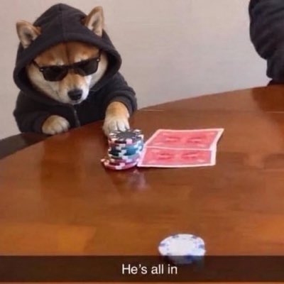 A Shiba Inu dog wearing a black hoodie and sunglasses sits at a table with poker chips and cards, captioned 'He's all in'.