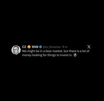 A screenshot of a tweet from CZ (@cz_binance) posted 9 minutes ago, displaying his profile picture and the message: "We might be in a bear market, but there is a lot of money looking for things to invest in.🐳" The image directly illustrates the accompanying post featuring Binance founder CZ's optimistic take on investment opportunities despite bearish market conditions.