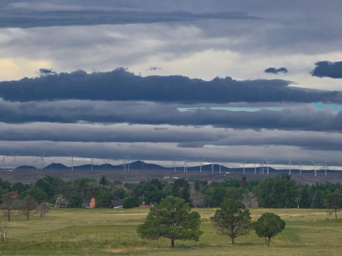A landscape with dramatic layered clouds over a field of trees, with wind turbines lining the distant horizon.
