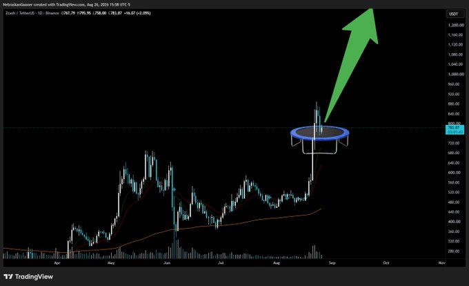 A Zcash (ZEC) daily chart on USDT shows price action climbing toward $800, with a hand-drawn blue trampoline placed under the recent breakout and a large green arrow pointing skyward toward $1,000, matching the meme's playful prediction that the coin will "bounce" higher.