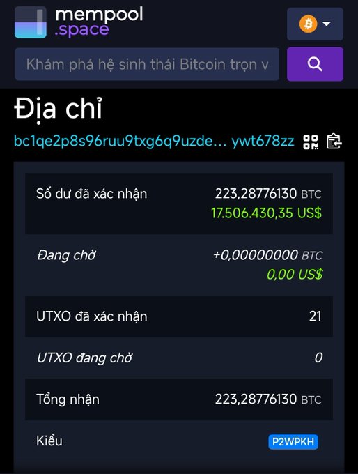 A screenshot from mempool.space showing a Bitcoin address (bc1qe2p8s96ruu9txg6q9uzde...ywt678zz) with a confirmed balance of 223.28776130 BTC (17,506,430.35 USD), 21 confirmed UTXOs, and a P2WPKH type.