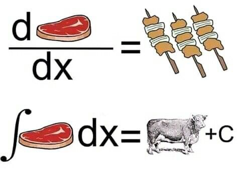 The image shows three skewers with meat, including a steak and two pieces of chicken, placed next to each other. The text "d = dx" is written above the skewers, which suggests that they are related to a physics concept called "derivative." This implies that the skewers represent different quantities or variables in an equation, and their arrangement symbolizes how these variables interact with one another.
