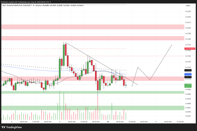 A TradingView candlestick chart for the $SNX/USDT pair shows price action between approximately $0.205 and $0.220 on August 10, 2024, with descending trendlines, support/resistance zones, and a projected arrow suggesting a potential upward breakout—aligning with the post's note of "something to watch for."