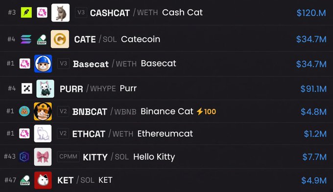 A leaderboard list of cryptocurrency tokens with cat-themed names including CASHCAT/WETH ($120M), CATE/SOL Catecoin ($34.7M), Basecat/WETH ($34.7M), PURR/WHYPE Purr ($91.1M), BNBCAT/WBNB ($4.8M), ETHCAT/WETH ($1.2M), KITTY/SOL Hello Kitty ($7.7M), and KET/SOL KET ($4.9M).