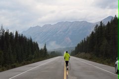 A person in a yellow jacket stands on a road with mountains and evergreen trees in the background.